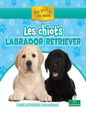 cover image of Les chiots labrador retriever (Labrador Retriever Puppies)
